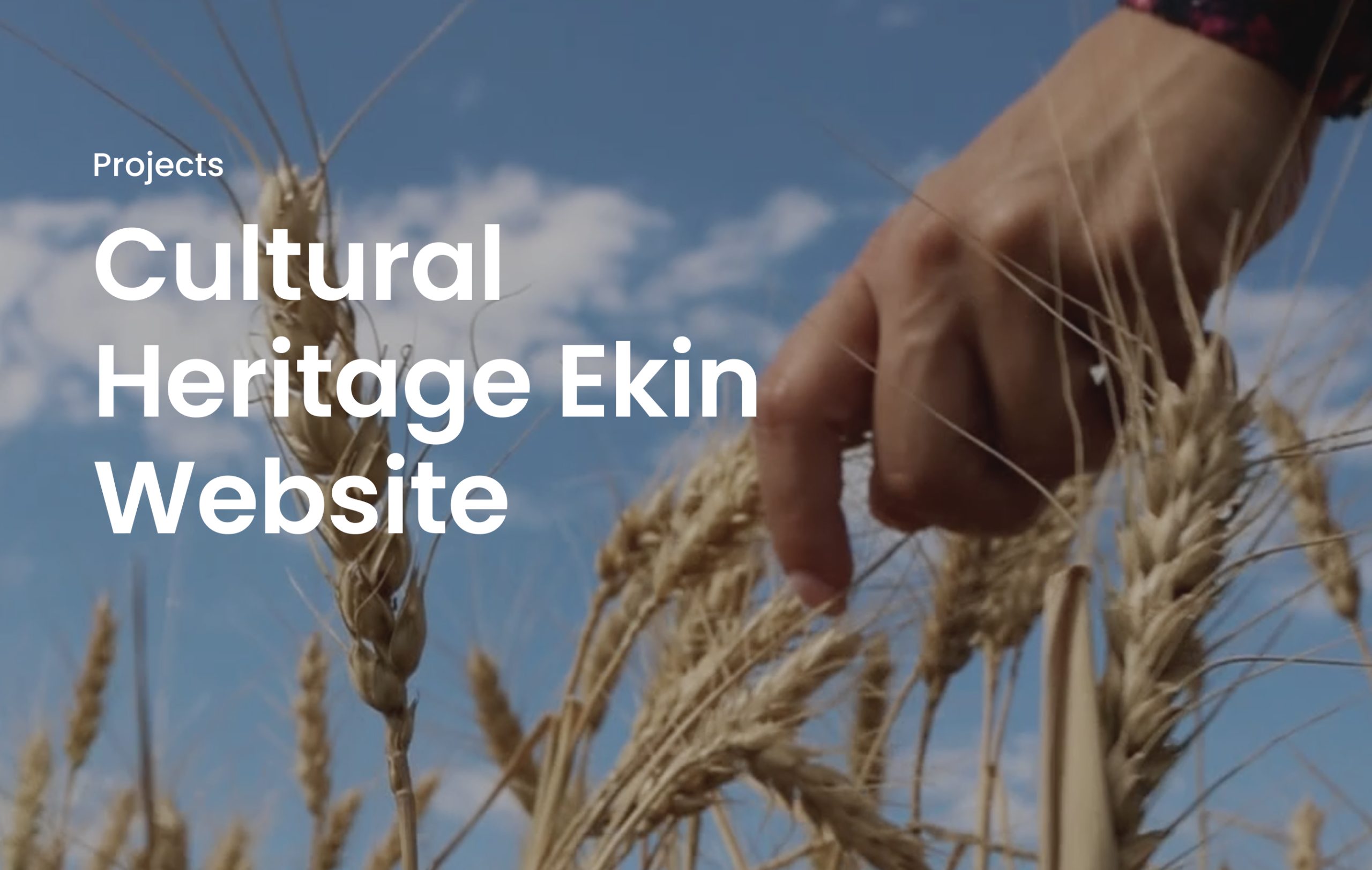 Ekin Brand’s Website is Online🎉